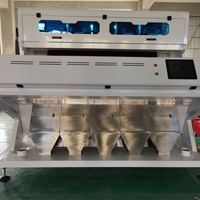 Pet PVC PP Flakes Color Sorter Plastic Color Sorting Machine with CCD Camera